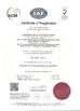 China Guangzhou Bravo Auto Parts Limited certificaten